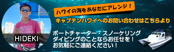 キャプテンハワイのお問い合わせ