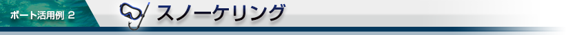 キャプテンハワイのスノーケル